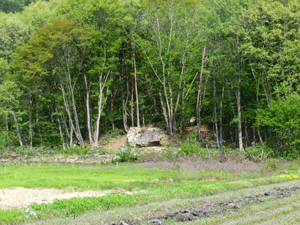 ��z�s�̓`���u�^�΁v